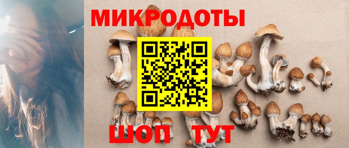 Галлюциногенные грибы прущие грибы  Вход с VPN  Галлюциногенные грибы Psilocybine cubensis  Алексеевка 